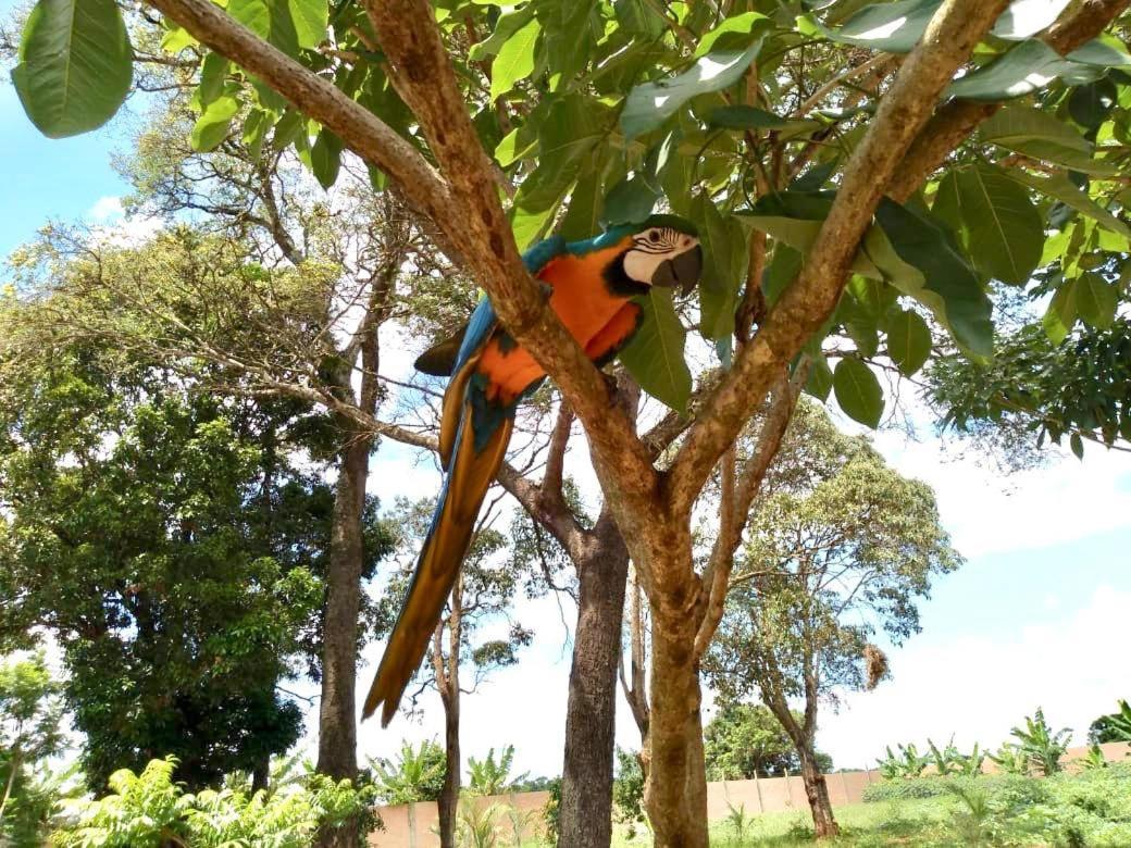 Pousada Cafe Da Roca Campos Gerais Kültér fotó
